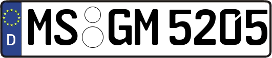 MS-GM5205