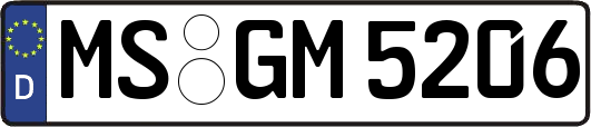 MS-GM5206