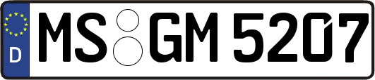 MS-GM5207