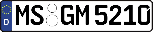 MS-GM5210