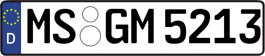 MS-GM5213