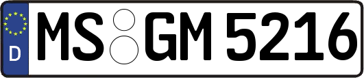 MS-GM5216