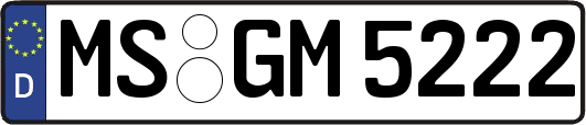 MS-GM5222