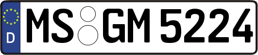MS-GM5224
