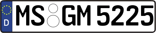 MS-GM5225