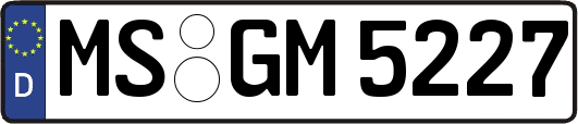 MS-GM5227