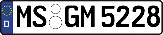 MS-GM5228