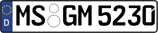 MS-GM5230