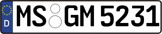 MS-GM5231