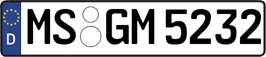MS-GM5232
