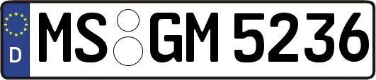 MS-GM5236
