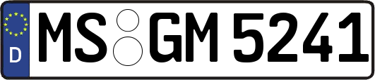 MS-GM5241