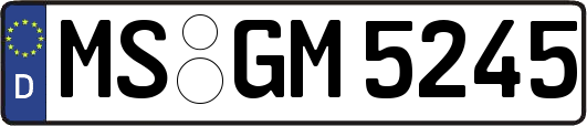 MS-GM5245