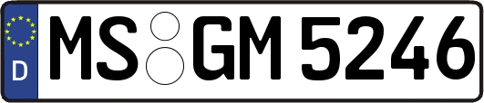 MS-GM5246