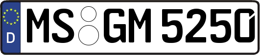 MS-GM5250
