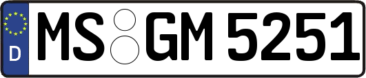 MS-GM5251