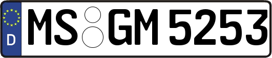 MS-GM5253