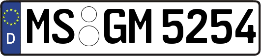 MS-GM5254