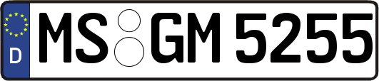 MS-GM5255