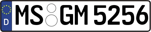 MS-GM5256