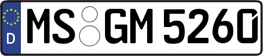 MS-GM5260