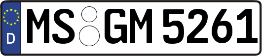 MS-GM5261