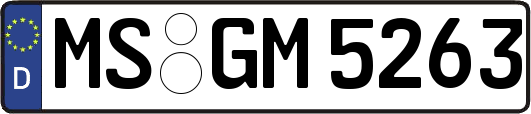 MS-GM5263