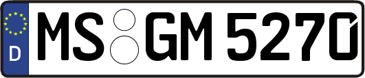 MS-GM5270