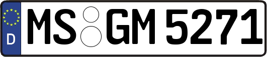 MS-GM5271