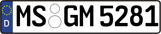 MS-GM5281