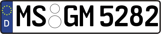 MS-GM5282