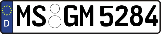 MS-GM5284