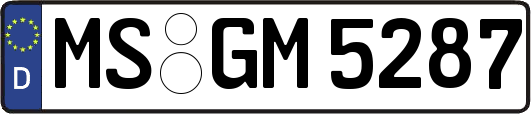 MS-GM5287