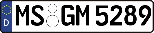 MS-GM5289