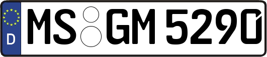 MS-GM5290