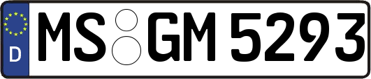 MS-GM5293