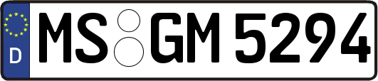 MS-GM5294