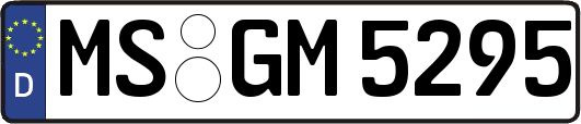 MS-GM5295