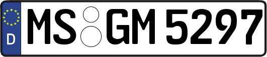 MS-GM5297