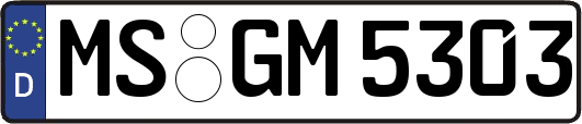MS-GM5303