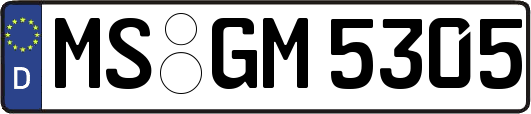 MS-GM5305
