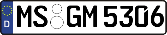 MS-GM5306