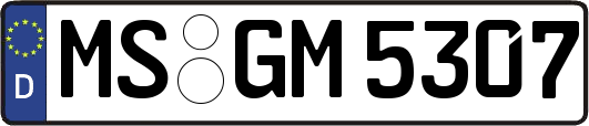 MS-GM5307