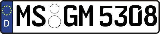 MS-GM5308
