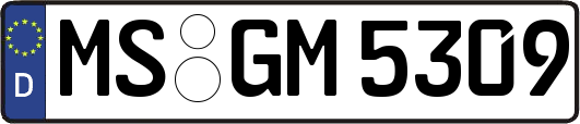 MS-GM5309