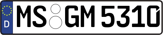 MS-GM5310
