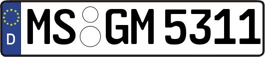MS-GM5311