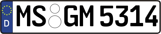 MS-GM5314
