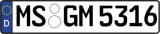 MS-GM5316