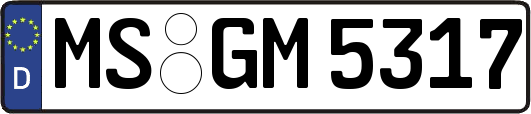 MS-GM5317